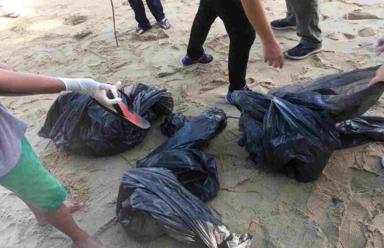 Parceria entre as secretarias municipais retira de cerca de 30 kg de lixos das praias de Ilhabela